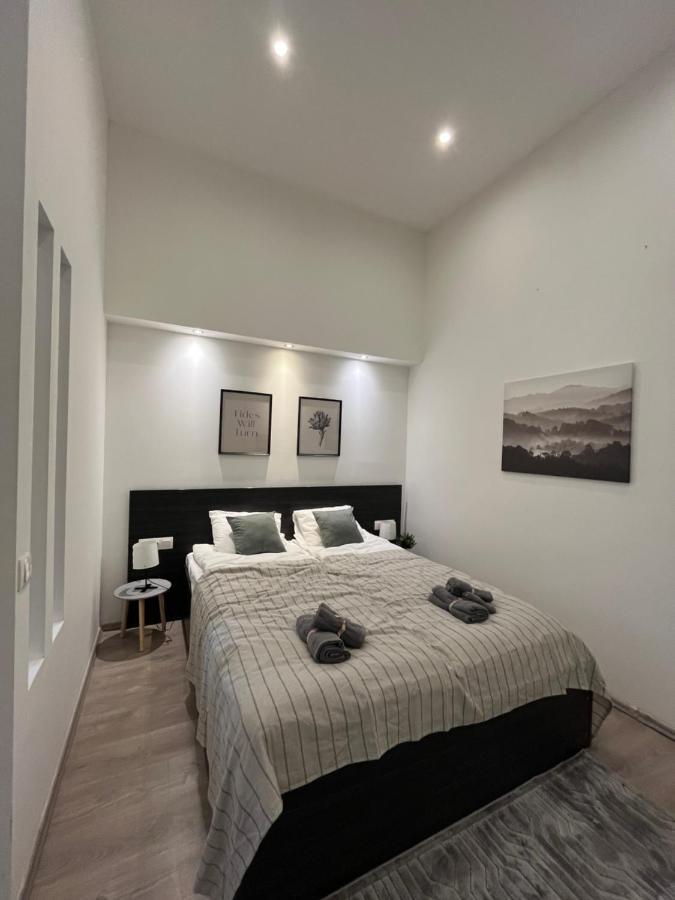 D58 Apartments In The City Center Budapeşte Dış mekan fotoğraf